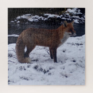 Stunning Red Fox in Snow Natural Winter Wildlife Jigsaw Puzzle