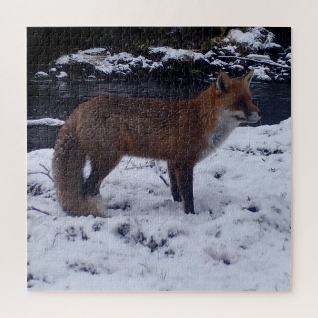 Stunning Red Fox in Snow Natural Winter Wildlife  Jigsaw Puzzle (Vertical)