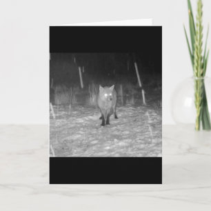 Stunning Red Fox in Snow Winter Field Wildlife Art Card