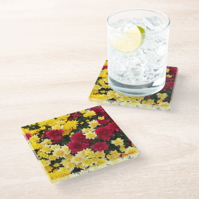 Stunning Red Gold Autumn Chrysanthemum Flowers Glass Coaster (Angled)