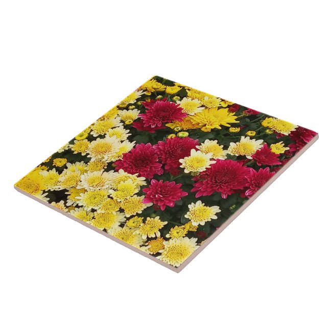 Stunning Red Gold Autumn Chrysanthemum Flowers Tile (Side)