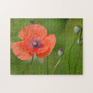 Stunning Red Poppy Jigsaw Puzzle