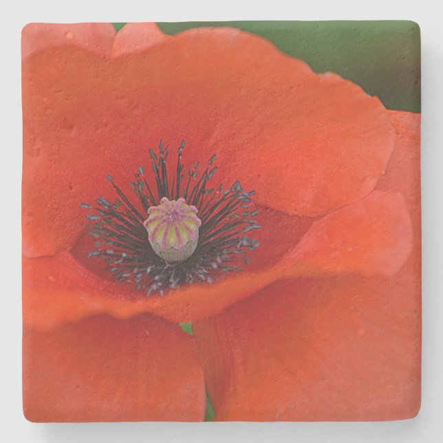 Stunning Red Poppy Stone Coaster (Front)