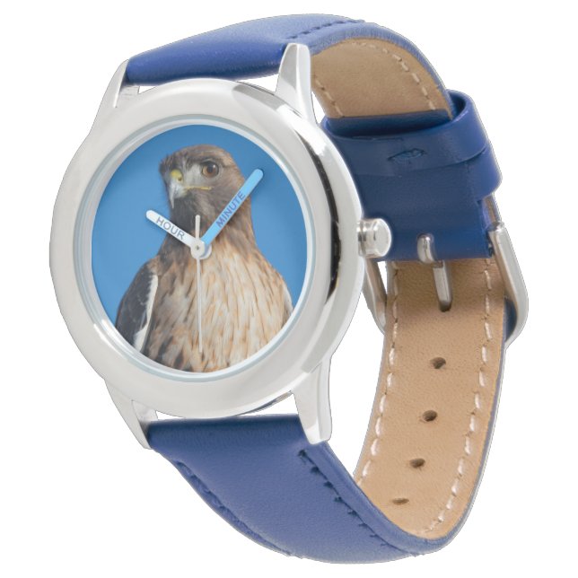 Stunning Red-Tailed Hawk Bird of Prey in the Sun Watch (Angled)