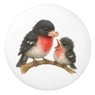 Stunning Rose Breasted Grosbeak Ceramic Knob
