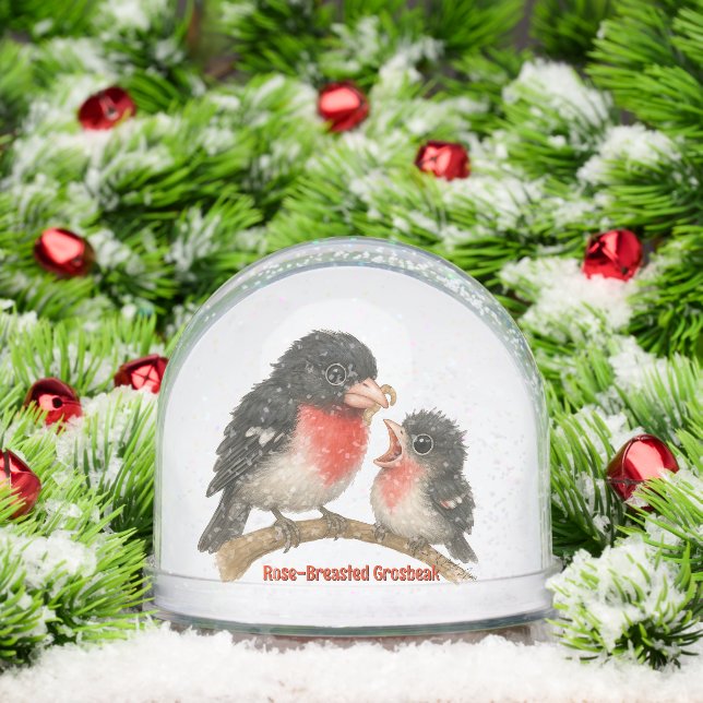 Stunning Rose Breasted Grosbeak Snowglobe (Christmas)