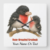 Stunning Rose Breasted Grosbeak