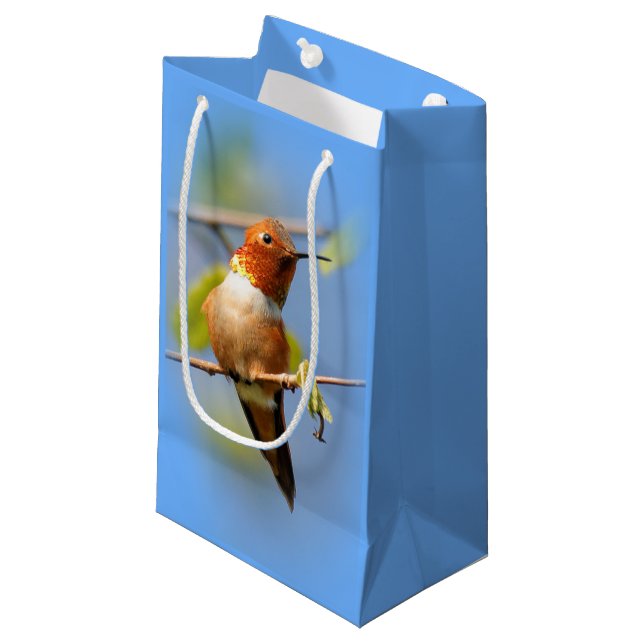 Stunning Rufous Hummingbird in the Sun Small Gift Bag (Front Angled)