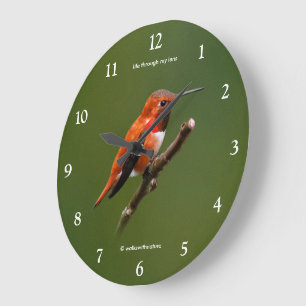 Stunning Rufous Hummingbird on the Cherry Tree Large Clock