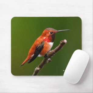 Stunning Rufous Hummingbird on the Cherry Tree Mouse Mat