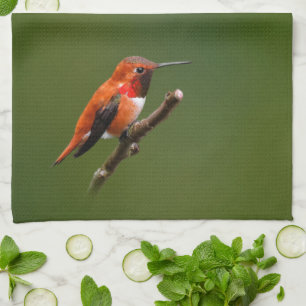 Stunning Rufous Hummingbird on the Cherry Tree Tea Towel