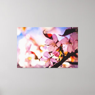 Stunning Sakura Blossoms Canvas Print