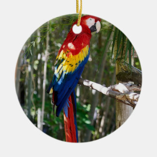 Stunning Scarlet Macaw Parrot Ceramic Tree Decoration