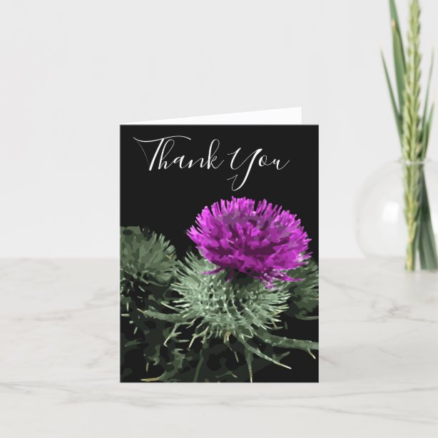 Scottish Thank You Cards Zazzle UK