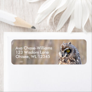 Stunning Short-Eared Owl in the Marshes