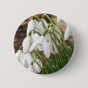 Stunning Snowdrops 6 Cm Round Badge