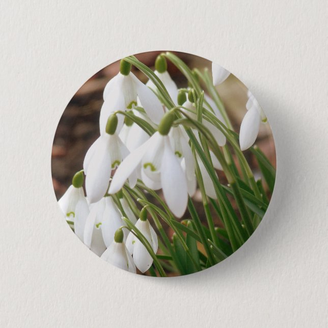 Stunning Snowdrops 6 Cm Round Badge (Front)