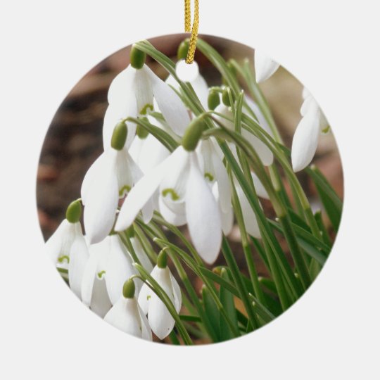 Stunning Snowdrops Christmas Ornament Zazzle.co.uk