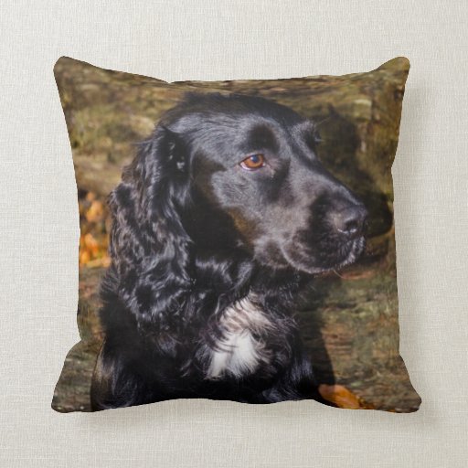 Image of Stunning Spaniel cushion