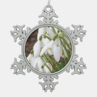 Stunning, Special Snowdrops