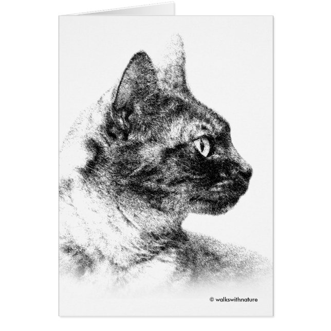 Stunning Stella the Gray Cat One Fine Feline (Front)