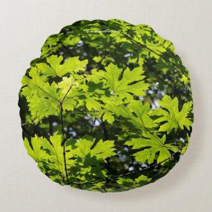 Stunning Sun-Dappled Leaves in Forest Round Cushion