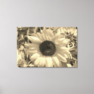 Stunning Sunflower Canvas Print