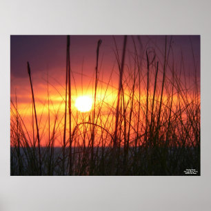 Stunning Sunset Poster