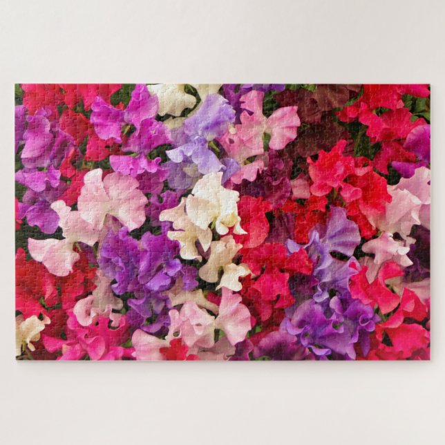 Stunning sweet pea flowers in bloom jigsaw puzzle (Horizontal)