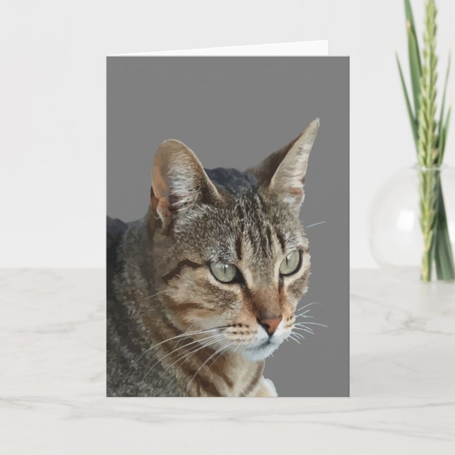 Stunning Tabby Cat Close Up Portrait Vector Card (Front)