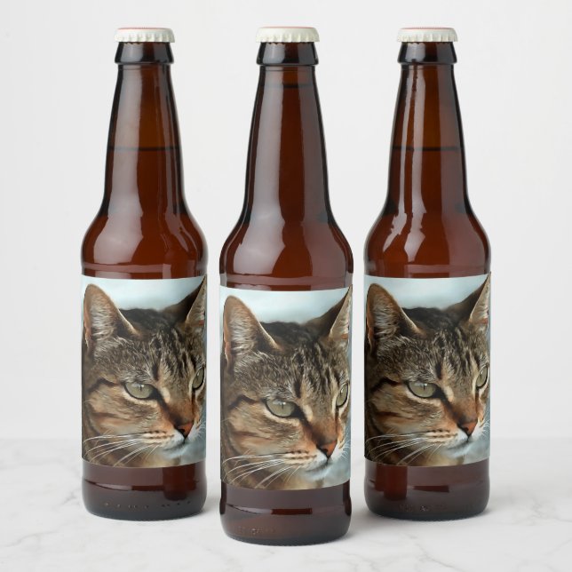 Stunning Tabby Cat CloseUp Artistic Portrait Beer Bottle Label (Bottles)