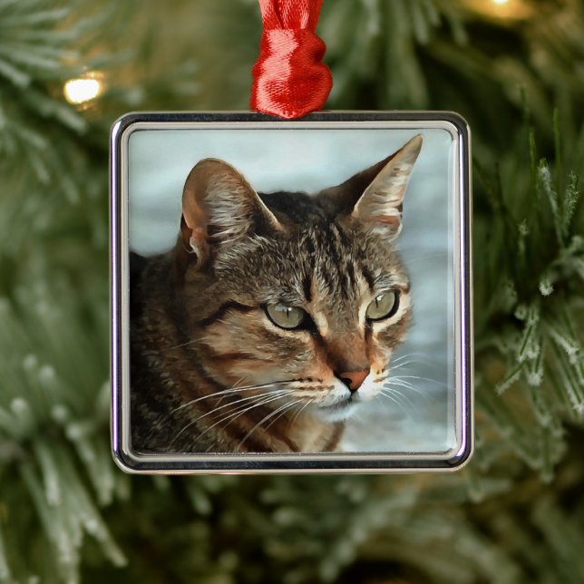 Stunning Tabby Cat CloseUp Artistic Portrait Metal Tree Decoration (Tree)