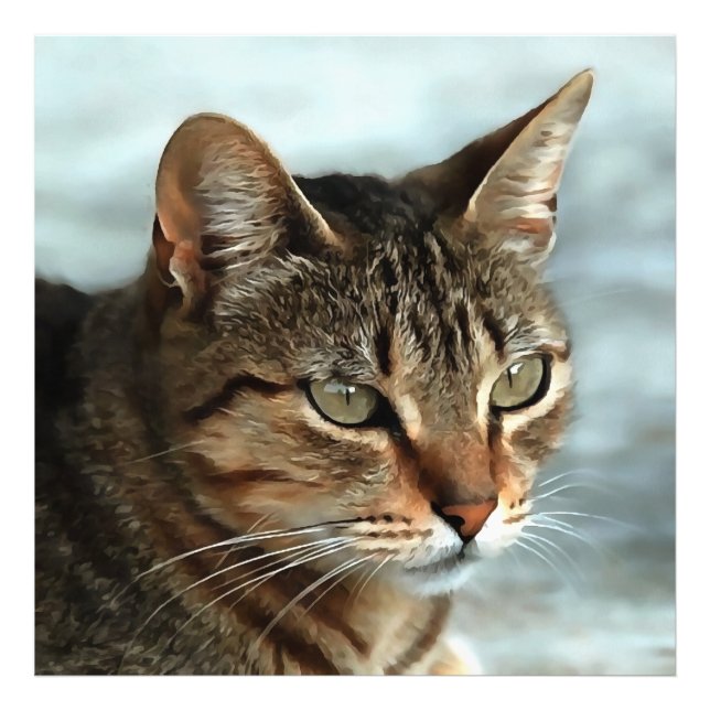 Stunning Tabby Cat CloseUp Artistic Portrait Photo Print (Front)