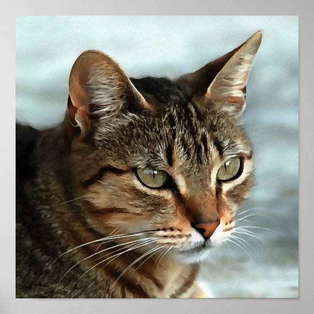 Stunning Tabby Cat CloseUp Artistic Portrait Poster (Front)