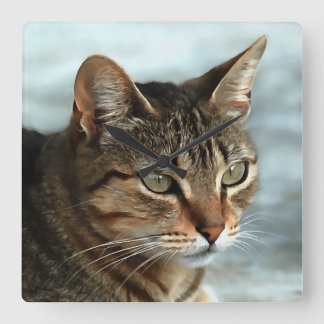 Stunning Tabby Cat CloseUp Artistic Portrait Square Wall Clock