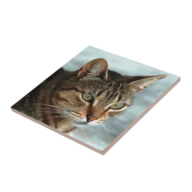 Stunning Tabby Cat CloseUp Artistic Portrait Tile (Side)