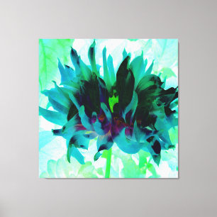 Stunning Teal and Black Cactus Dahlia Canvas Print