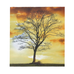 Stunning Tree, sunset nature scenery photo prints Notepad