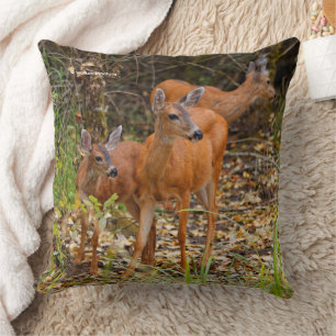 Stunning Trio of Blacktail Deer in the Forest Cushion