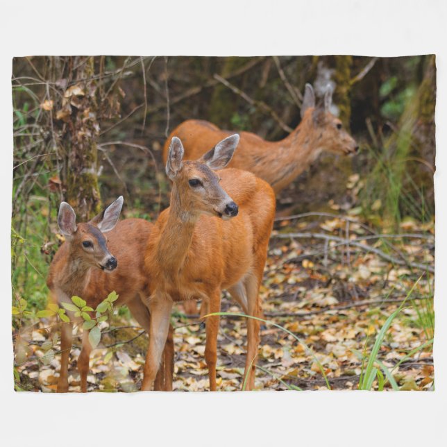 Stunning Trio of Blacktail Deer in the Forest Fleece Blanket (Front (Horizontal))