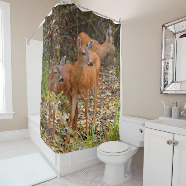 Stunning Trio of Blacktail Deer in the Forest Shower Curtain (In Situ)