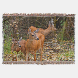 Stunning Trio of Blacktail Deer in the Forest Throw Blanket