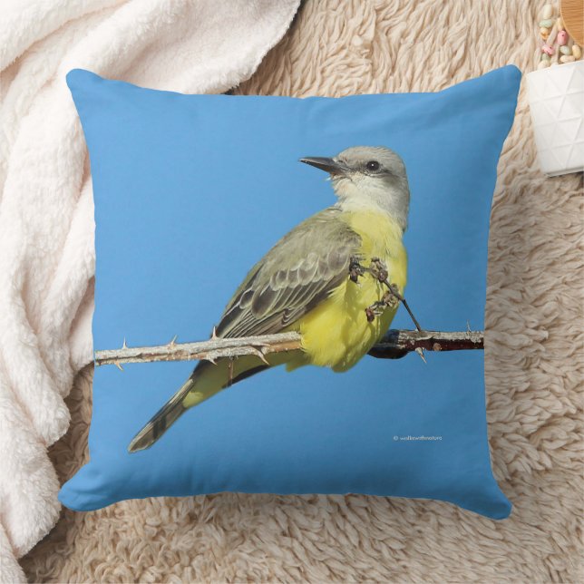 Stunning Tropical Kingbird on Blackberry Branch Cushion (Blanket)