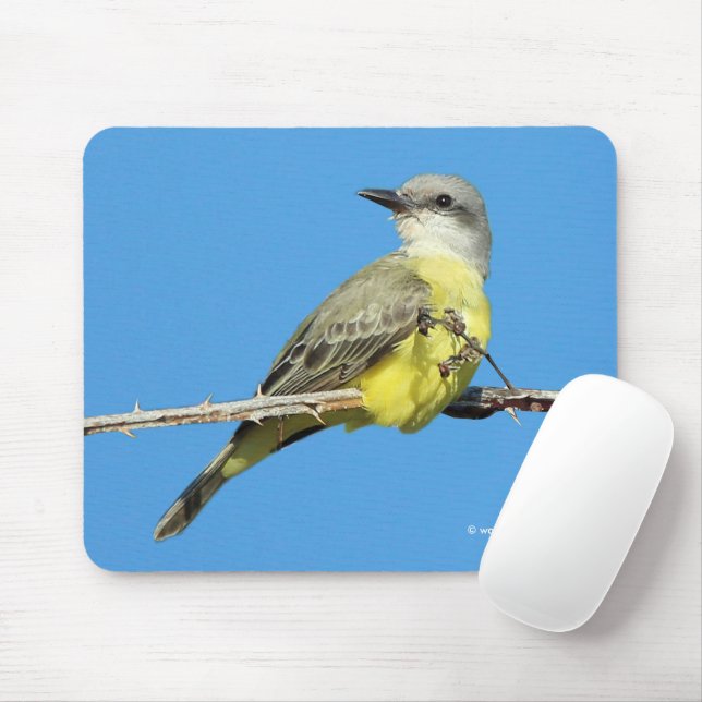 Stunning Tropical Kingbird on Blackberry Branch Mouse Mat (With Mouse)