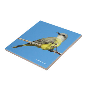 Stunning Tropical Kingbird on Blackberry Branch Tile