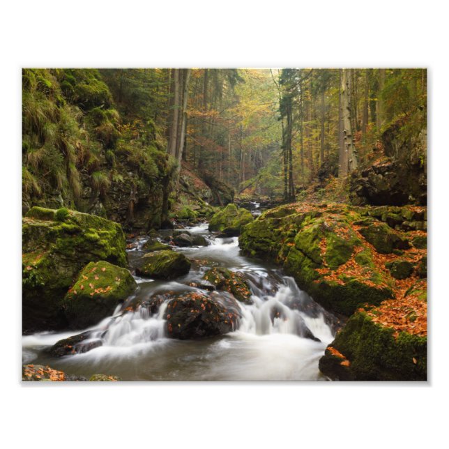 Stunning Valley of river Doubrava Photo Print (Front)