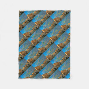 Stunning! Venezia Grand Canal Venice - Pro Photo Fleece Blanket