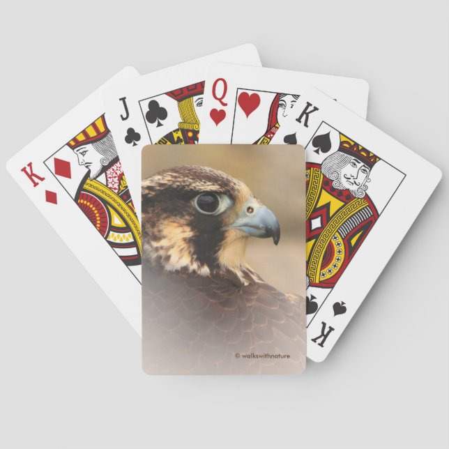 Stunning Vignetted Profile of a Peregrine Falcon Playing Cards (Back)