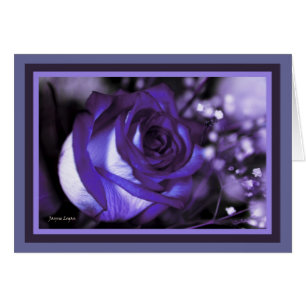 stunning Violet Rose! Blank Card (Template)