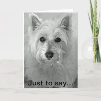 Stunning Westie Dog - Sorry Card